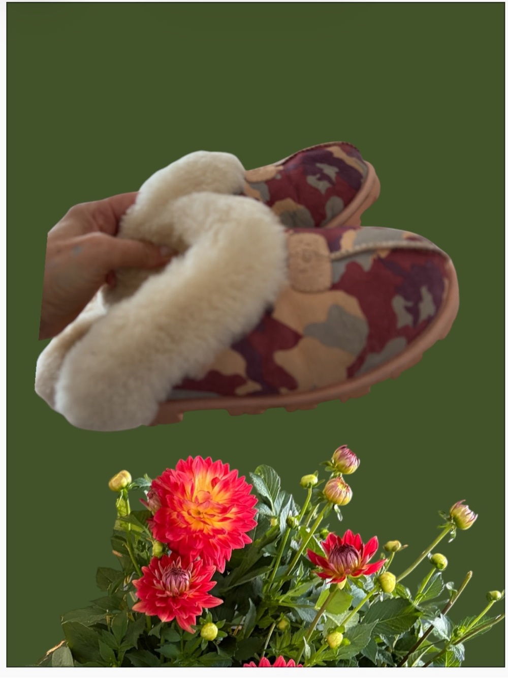 UGG Coquette Burgundy Camo Slip-On Slippers with Cream Shearling